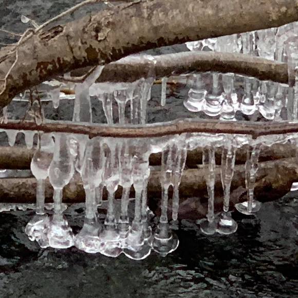 Meet your Posher, Angela - Picture 1 of 1